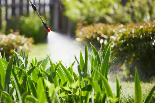 24/7 Emergency Cockroach Control experts in Essex Fells, NJ